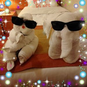 Meet your Posher, Lissa